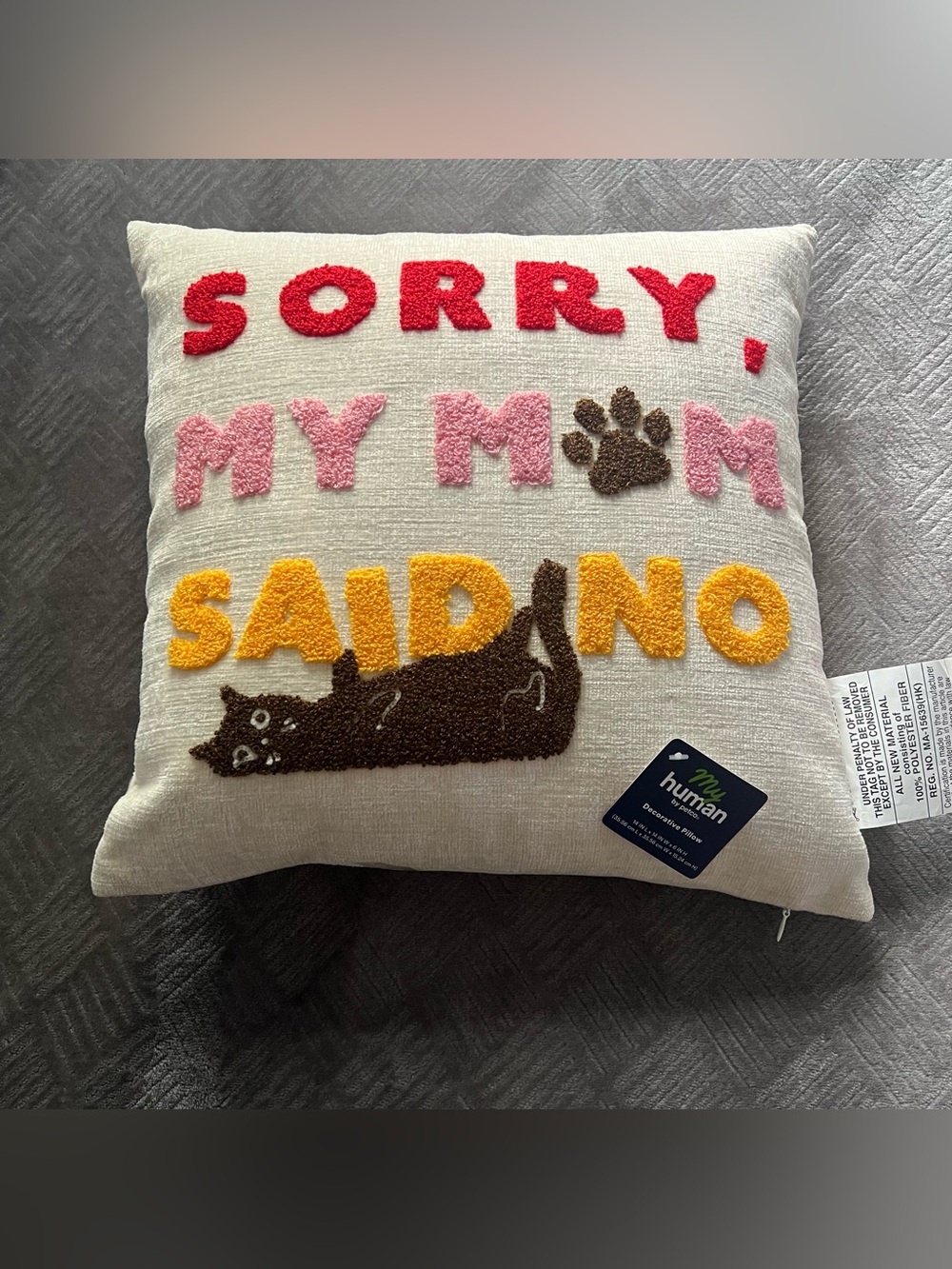 "Sorry, My Mom Said No" 14x14 Throw Pillow, Zip Polyester